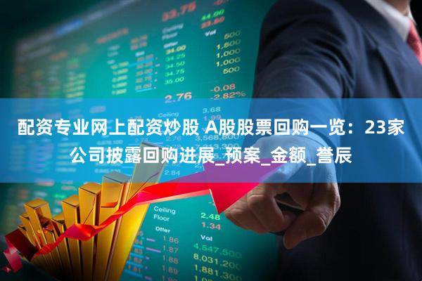 配资专业网上配资炒股 A股股票回购一览：23家公司披露回购进展_预案_金额_誉辰