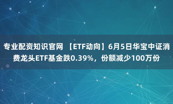 专业配资知识官网 【ETF动向】6月5日华宝中证消费龙头ETF基金跌0.39%，份额减少100万份