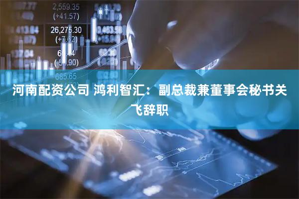 河南配资公司 鸿利智汇：副总裁兼董事会秘书关飞辞职